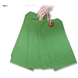 100 Pack - 120 x 60mm Green Coloured Strung Tags