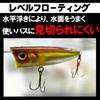 DUEL HARDCORE R1379-BN HARDCORE POPPER Lure, 2.8 inches (70 mm),