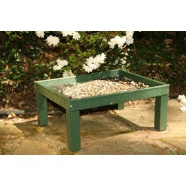 Ground Platform Feeder Green