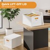 Seseno File Organizer File Box with Lid, Universal Hanging File