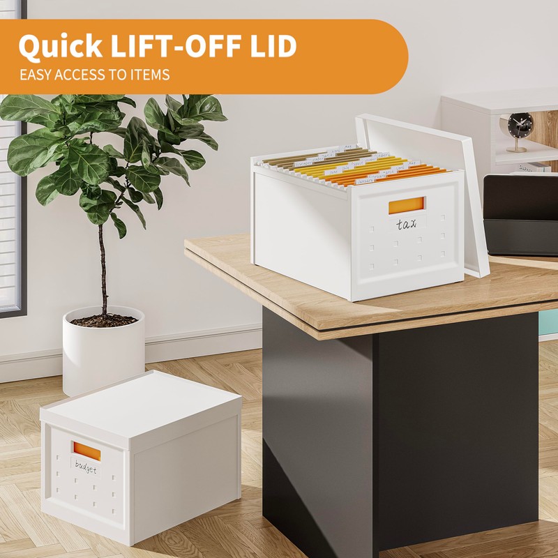 Seseno File Organizer File Box with Lid, Universal Hanging File