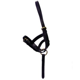 Y-H Leather Foal Slip - Black or Brown - Small, Medium, Large Size Excellent Value!