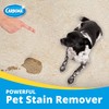 Carbona Oxy-Powered Pet Stain & Odor Remover w/ Active Foam
