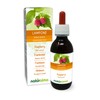 Raspberry (Rubus idaeus) Alcohol-Free Bud Extract from Fresh Buds NATURALMA