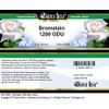 Bianca Rosa Bromelain 1200 GDU Cream (2 oz, ZIN: 519381)
