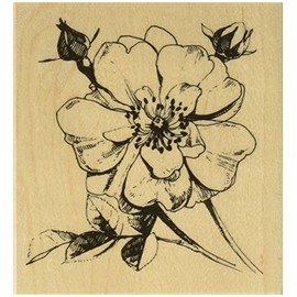 Hero Arts K6136 Antique Rose Stem