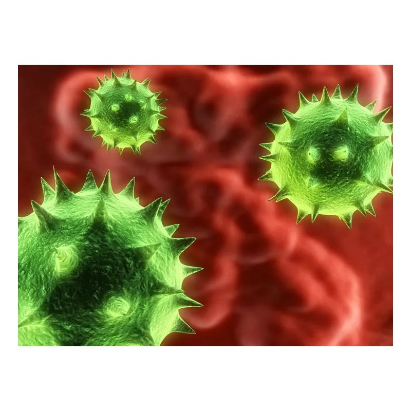 PRIVATE LABEL candida relief - ANTI-PARASITE FORMULA - super antioxidant