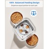 WellToBe Automatic Cat Feeder for 2 Cats, Two Way Splitter