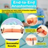 SurgicalSim Bowel Anastomosis Suture Practice Kit, End-to-End Techniques, Includes 30mm