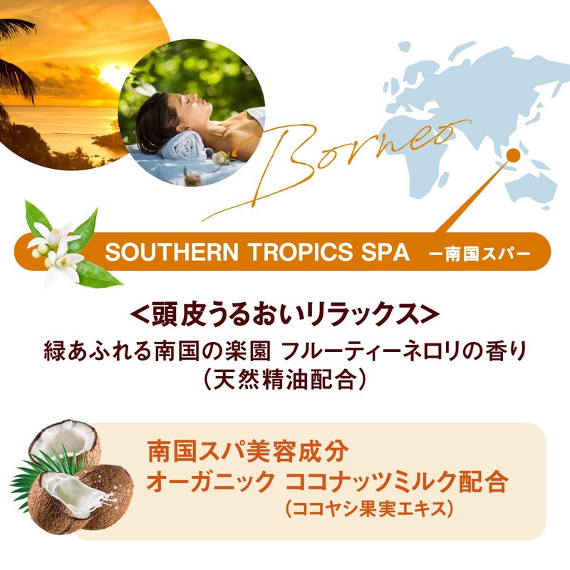ココパーム 南国スパトリートメント詰替用