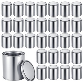 JZTKQTM 30 Pcs 1 Pint Empty Paint Cans with Lids, 3.3 x 3.7 Inch Paint Storage Containers with Lids, Small Bucket with Lid Multipurpose for Painting, Arts, Crafts, DIY Decor, Supply Storage (Silver)