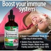 Natural's Answer EcinacceRoot & Golden Seal, Alcoho-Free, 120 ml