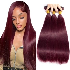 Burgundy Bundles Straight Human Hair 1 Bundles Brazilian Remy Hair 99j Bundles 100%Unprocessed Hair Weave Wine Red 30Inchcolor: 99j, Stretched Length: 28"