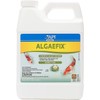 API API POND ALGAEFIX Algae Control 32-Ounce Bottle, FISHAQUARI (169G)