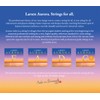 LARSEN Strings Aurora Violin Strings D Aluminium 4/4 Medium