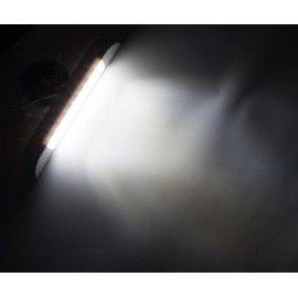 Raycharm 10" RV Camper LED Awning Porch Utility Light Fixture, 40° Down Angle Beam, 6000K Cool-White Super Bright, 12V/24V DC, High Light-Output Low Ampere Draw, Plastic Housing Black Finish, 2-Pack