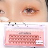 Hollige E Individual Eyelashes Natural Brown Color Self-Illegible Eyelashes / 홀리지E 가닥속눈썹 자연스러운 브라운컬러 셀프 속눈썹