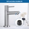CECIPA Cold Water Tap with Connection Hose, Washbasin Tap with