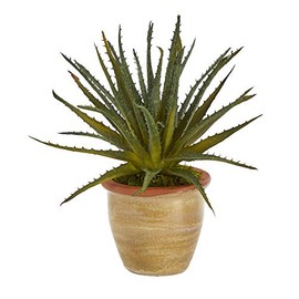 Nearly Natural Mini 11in. Aloe Artificial Plant in Ceramic Planter