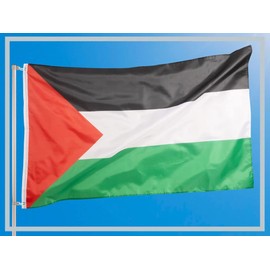 Aricona Palestine Flags, Weatherproof Flags with Brass Eyelets in Various Sizes, 60 x 90 cm | 90 x 150 cm | 250 x 150 cm