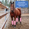 Bulyoou Set of 8 Mesh Fly Boots for Horse Breathable
