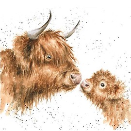 Artistic Greeting Card (WRE-CS156) - Blank/Birthday - 'Gentle One' - Highland Cow and Calf - from The Country Set Range - Suitable for Birthdays and Other Occasions