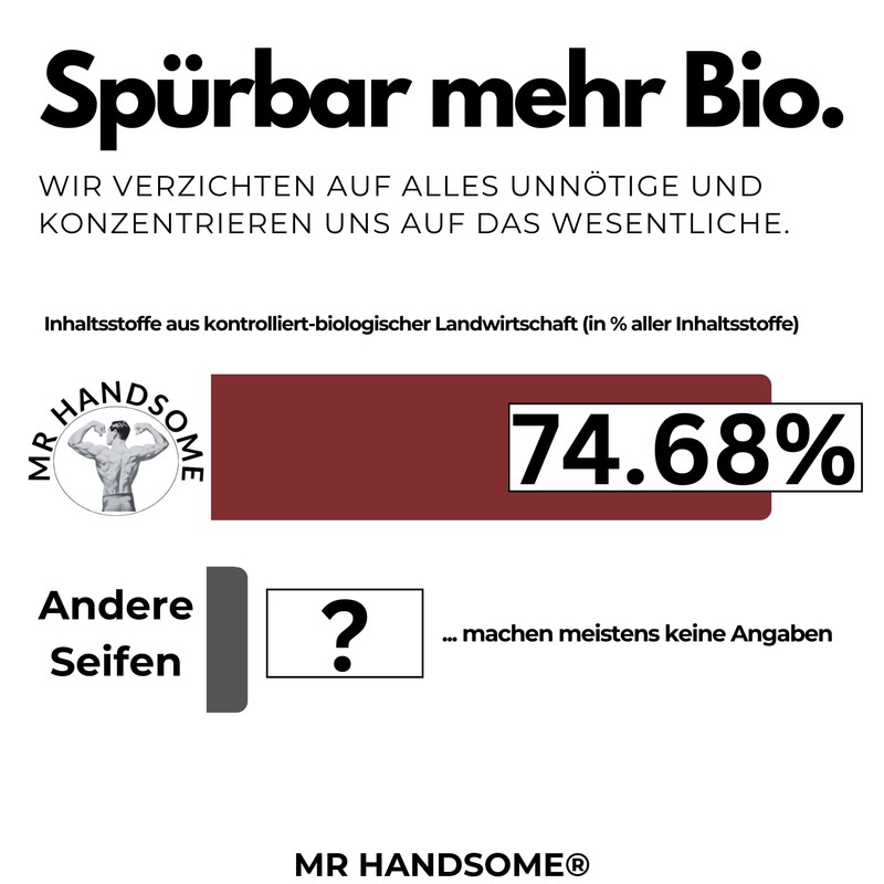 MR HANDSOME Handmade Shower Soap Imperium (1 x 100 g)