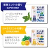 Nose Mint, Roll-on Type, Impact Mint Scent & Citrus Mint