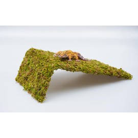 Jinymral Leopard Gecko Tank Accessories, Adjustable Climbing Wall Toys, Terrarium Habitat Decor Supplies