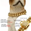 Designer Dog Collar Gold Metal Stainless Steel with Zirconia Lock