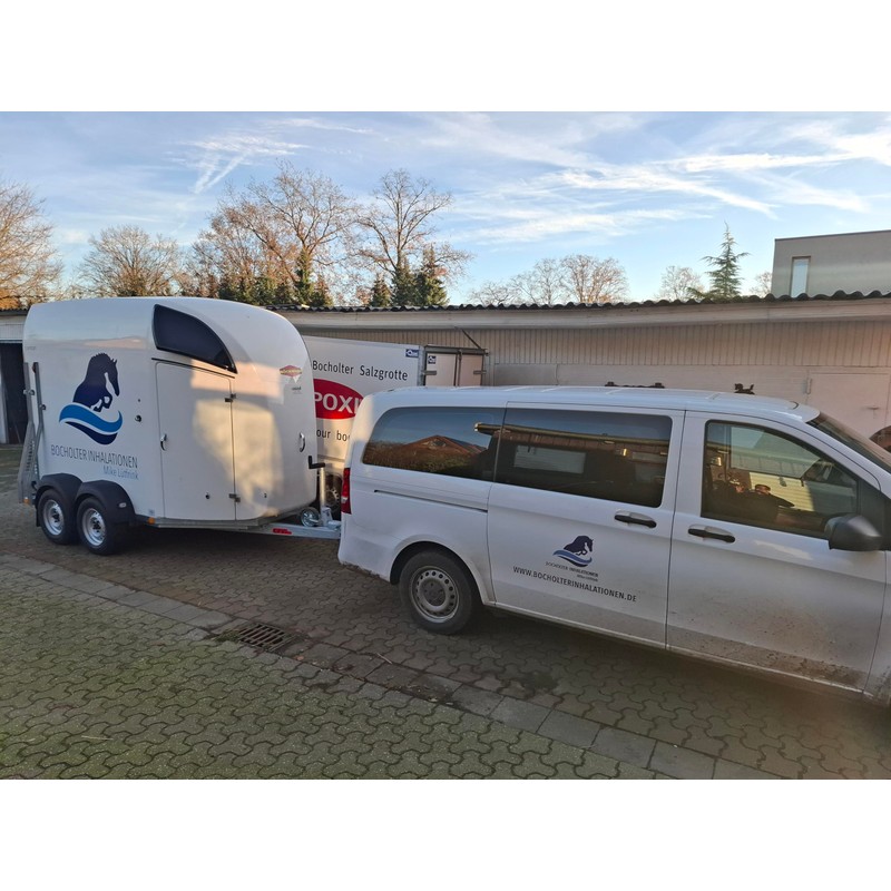 Generisch 2.5% Dead Sea Sole 1 Litre Bocholter Inhalations