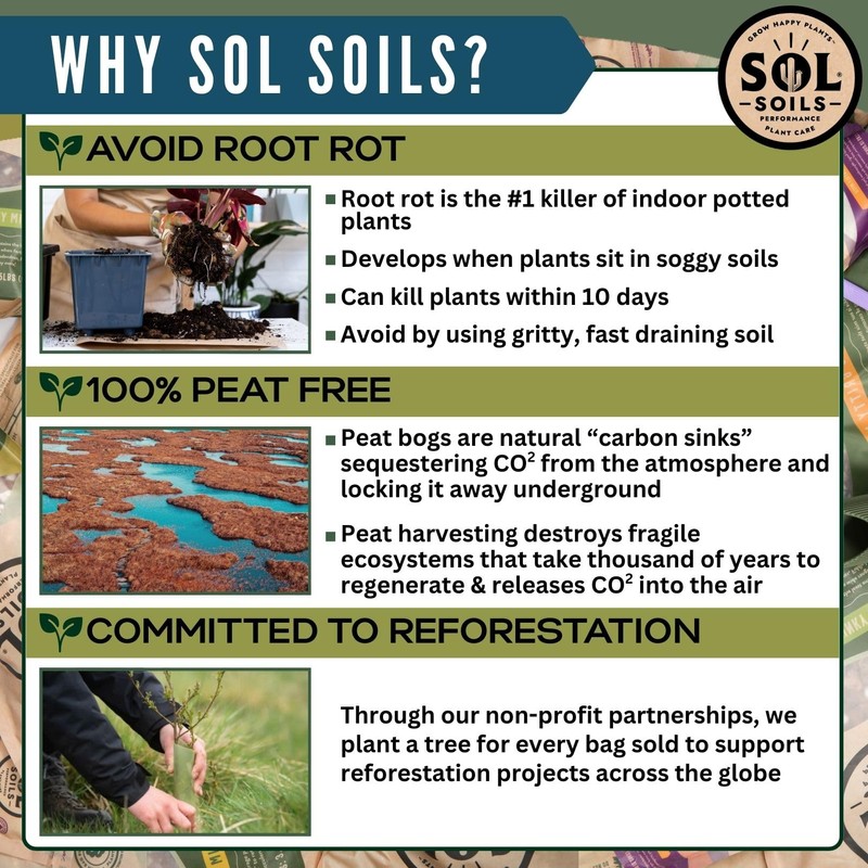 Sol Soils Original Sol Soil Topper – Decorative Rocks for