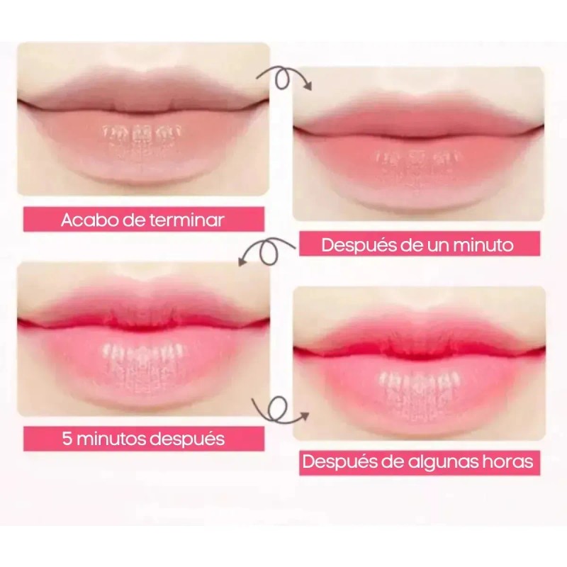 4 Piezas Labial Bálsamo Cuidado Facial Hidratante Labios Lip