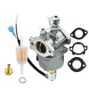 Compatible with A042P619 Carburetor 146-0785 146-0803 for Cummins Onan Generator