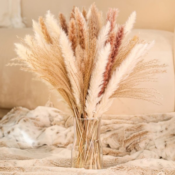 Janice Ky 60Pcs 65cm Natural Dried Pampas Grass with 3 Kinds of Color Fluffy and Swinging DIY Boho Plant for Wedding Flower Arrangements Home Decor