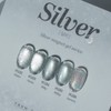 From the Nail Silver Magnetic Gel 5-piece set / 프롬더네일