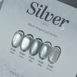 From the Nail Silver Magnetic Gel 5-piece set / 프롬더네일 실버 자석젤 5종세트