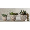 47th & Main Diamond Patterned Planter/Pot, Large, Distressed White