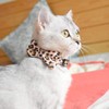 XPangle Bowtie Cat Collars Breakaway with Bell, Adjustable Cute Kitty