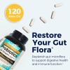 Probióticos Newrhythm 30 Cápsulas Digestión Y Energía