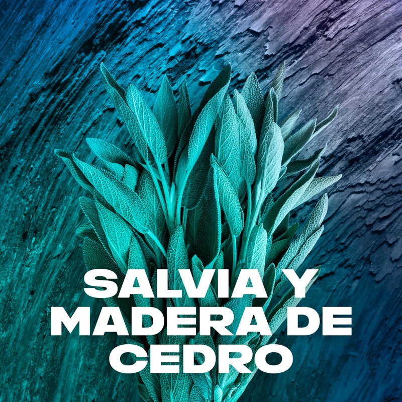 Axe Apollo 100% Plant Origin Shower Gel for Men 400