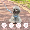 Guiding Star Puppy Harness and Leash Set, No Pull Lightweight