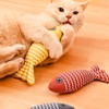 DAVBNM 3pcs Catnip Toy, Cat Chew Toy, Bite Resistant Catnip