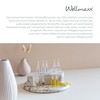WELLMAXX Concentrates Anti Wrinkle Boost Concentrate Ampoules, Anti Ageing Serum
