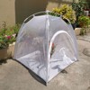 Insect Mesh Cage Greenhouse Reusable Collapsible Mini Plant Butterflies Breeding