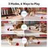 Cheerble 2 in 1 Interactive Cat Toys for Indoor Cats
