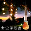 Himalayan Glow 60-Watt Salt Light Bulb - 1 Count, Dimmable,