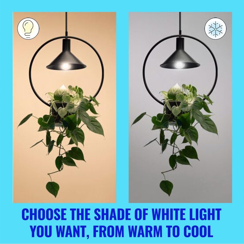 WiZ Ultra Efficient Smart LED Lamp, E27, Energy Efficiency Class