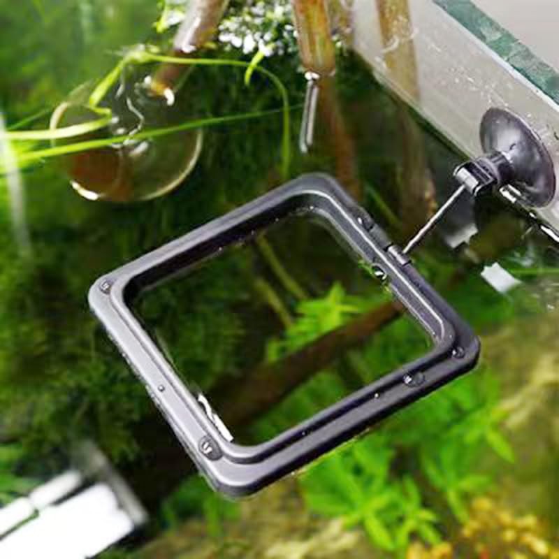 Fish Feeding Ring, Fish Safe Floating Food Feeder Circle Blue,