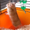 Hamster 80ML Water Bottle 4 Pack Leak Proof Automatic Water